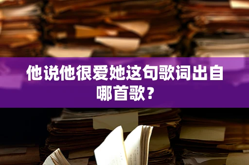 他说他很爱她这句歌词出自哪首歌？