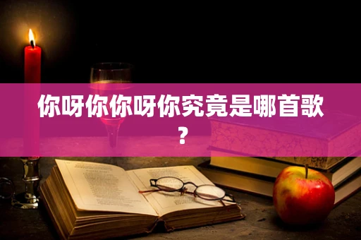 你呀你你呀你究竟是哪首歌？