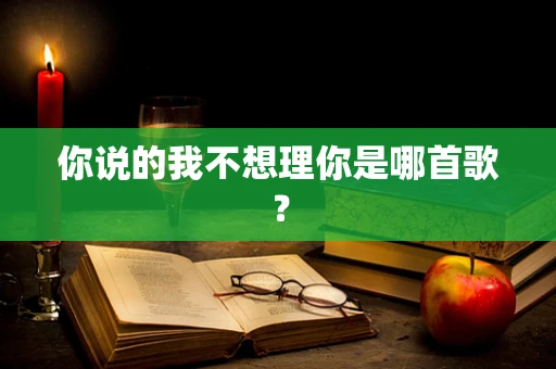 你说的我不想理你是哪首歌？