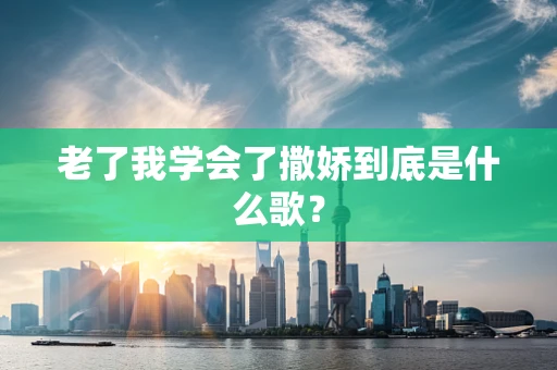 老了我学会了撒娇到底是什么歌？